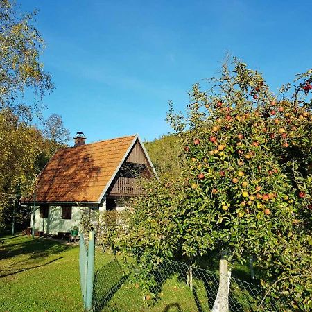 Chalet Tomljenovic Villa Smiljan Exterior photo