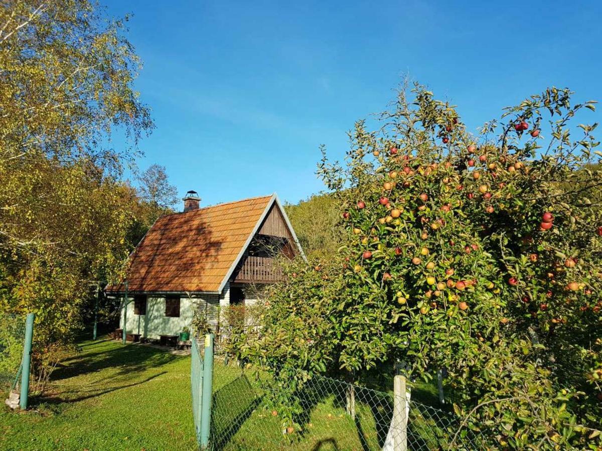 Chalet Tomljenovic Villa Smiljan Exterior photo